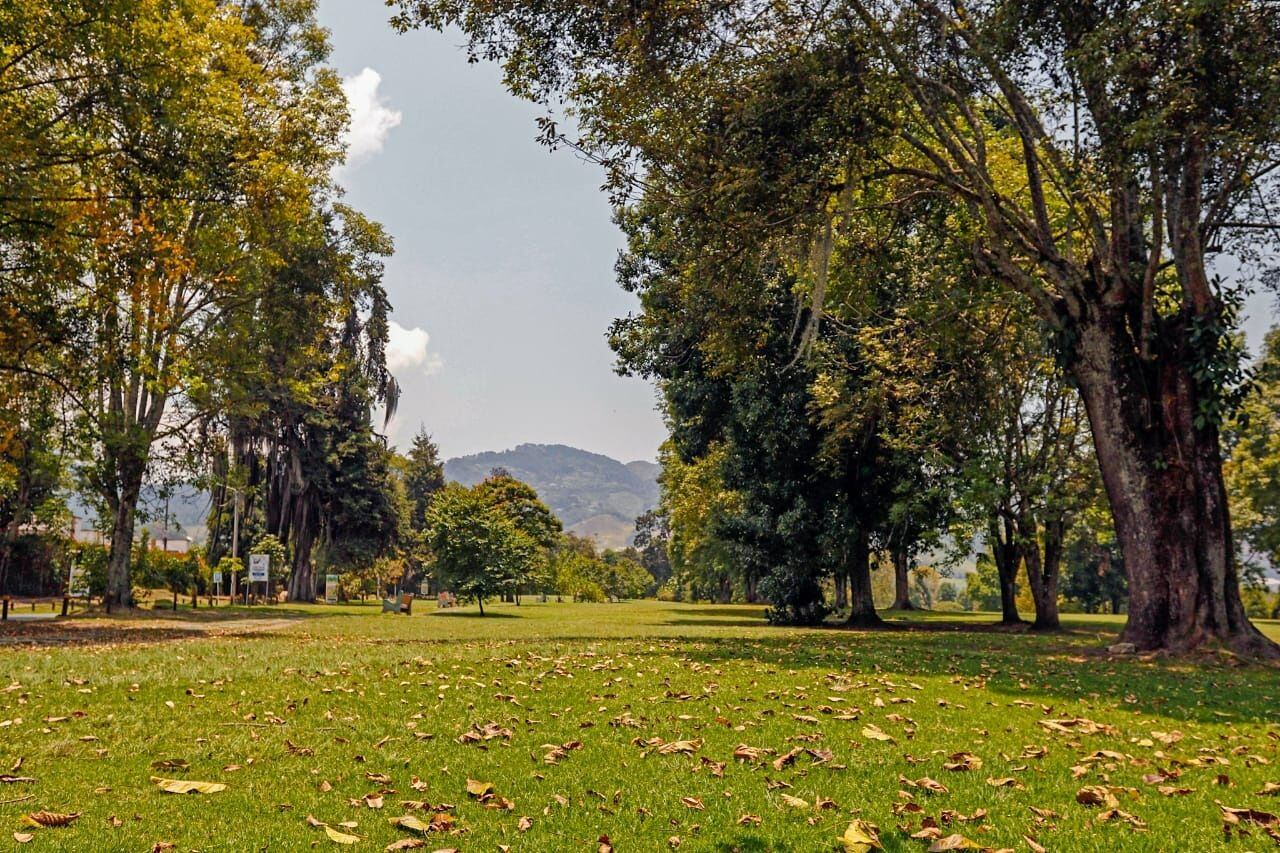 Bosque Popular el Prado en Manizales