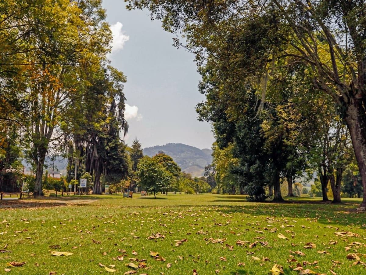 Dos ataques de perros en una semana en Manizales