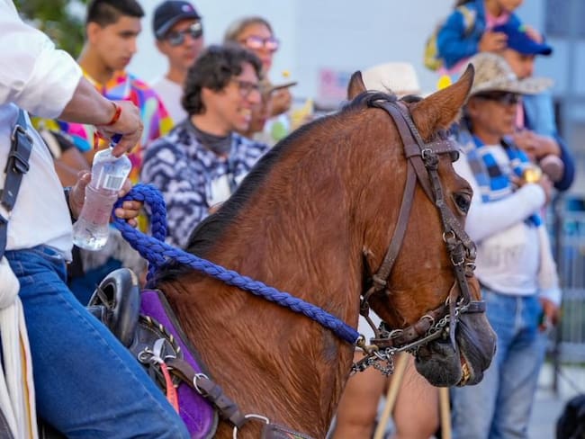 Cortesía Alcaldía de Manizales