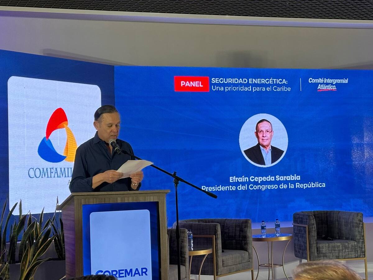 “Nunca alguien con tan pocos méritos llegó a la presidencia”: Efraín Cepeda sobre Petro
