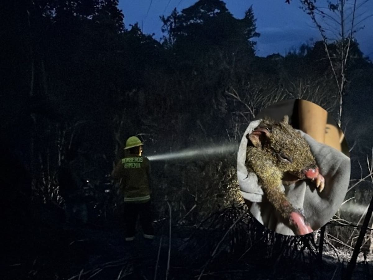 Teniente Juan Diego Herrera, bomberos Armenia