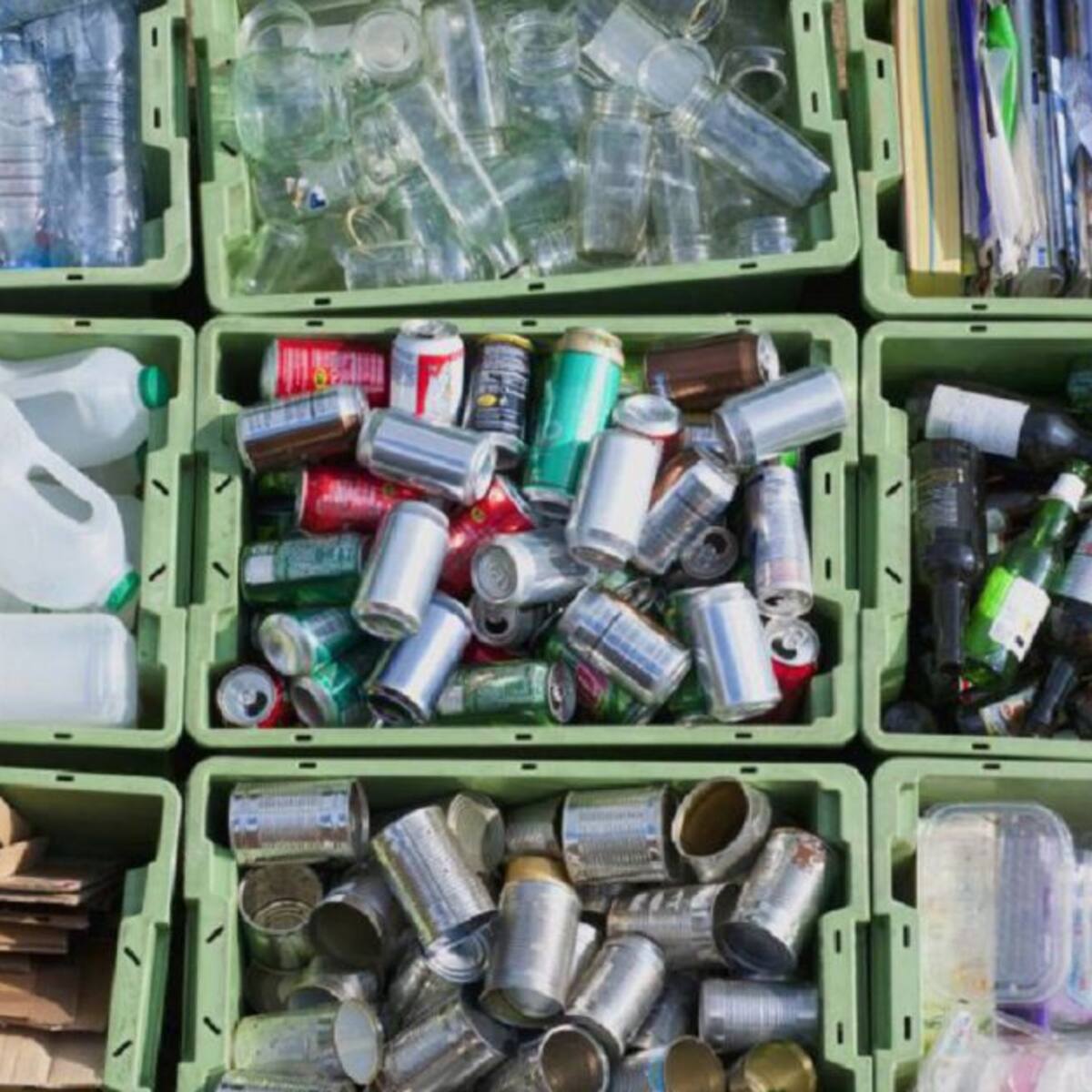 En el día mundial del medio ambiente promueven colecta de reciclaje