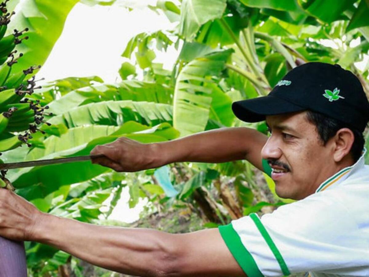 Gremio empresarial en Risaralda propone fortalecimiento del campo