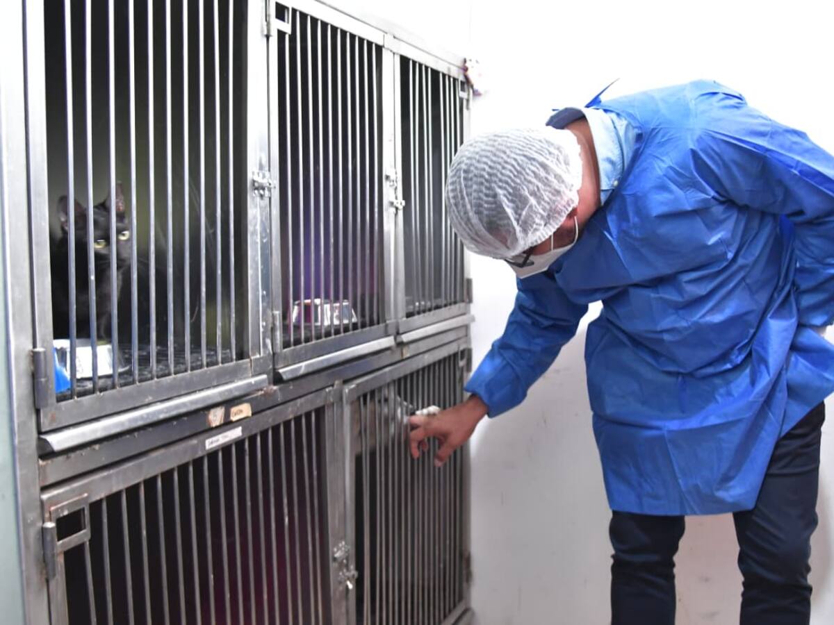 Alcaldía entregará Patrulla Animal en la UBA de Bucaramanga