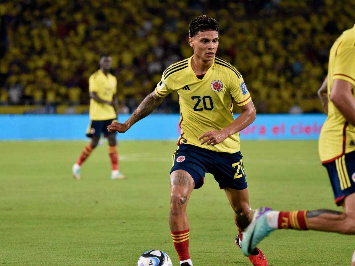 Richard Ríos vive un sueño: inolvidable año con la Selección Colombia y el Palmeiras