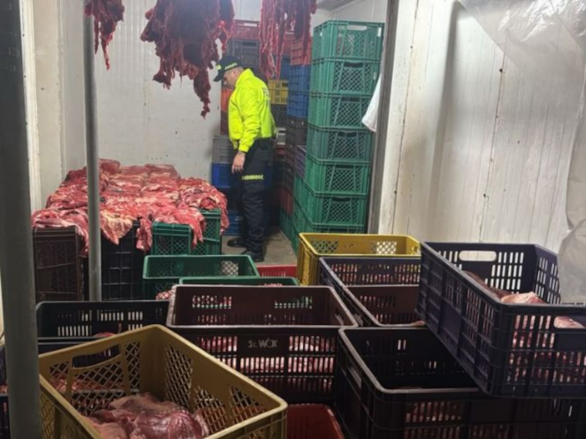 Capturan a 10 presuntos integrantes de red que comercializaba carne de caballo en Bucaramanga