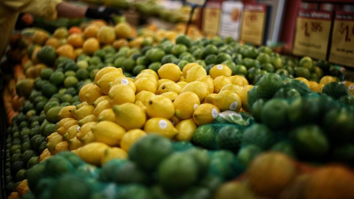 Exportaciones agropecuarias y agroindustriales alcanzan cifra récord en marzo