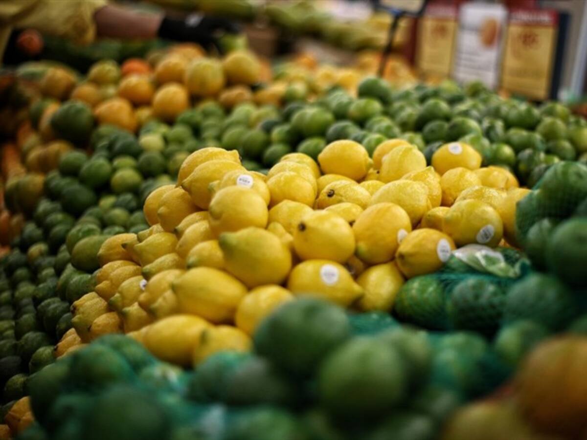 Exportaciones agropecuarias y agroindustriales alcanzan cifra récord en marzo