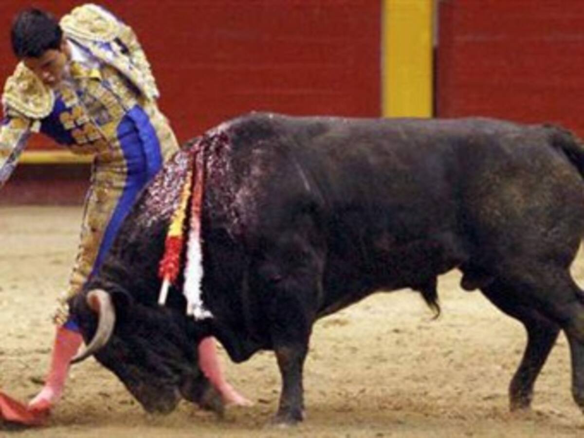 Los antitaurinos de Medellín protestan en el inicio de la Feria de Toros La Macarena