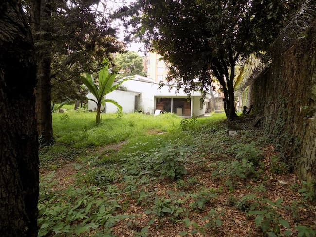 Dos predios de alias "El Mexicano", valorados en 56.758 millones de pesos (unos 18,8 millones de dólares) serán subastados por orden de la Justicia.