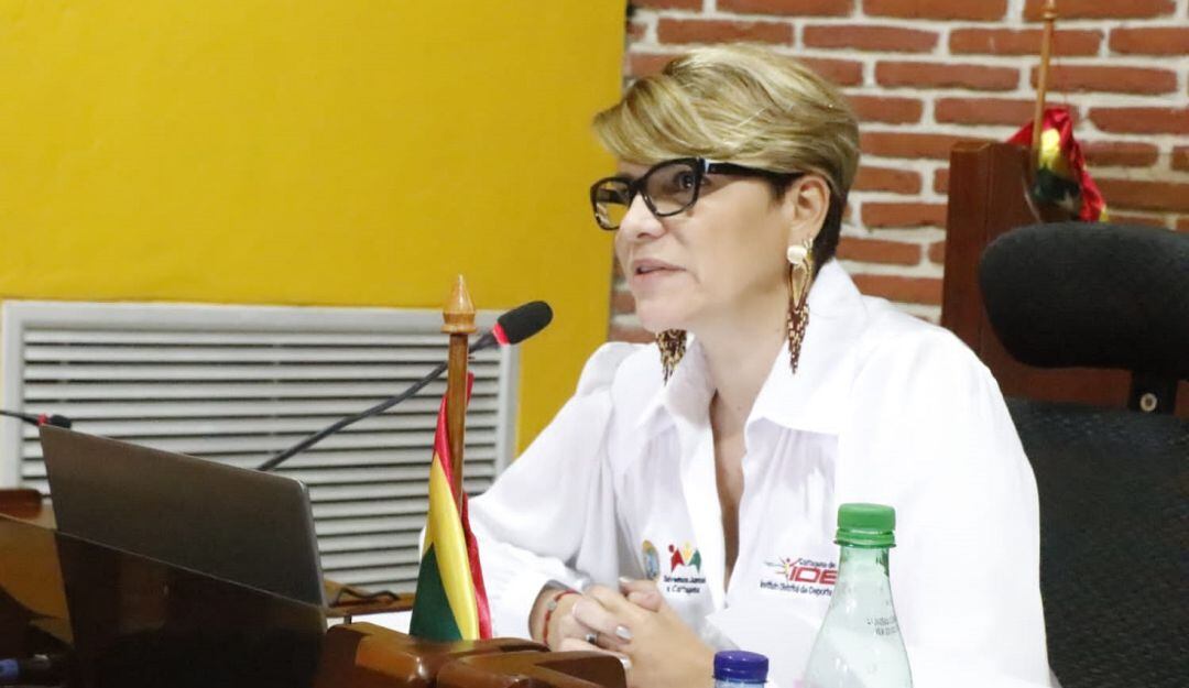 En la plenaria denunciaron que las categorías menores de béisbol no tienen lugar para practicar porque los escenarios grandes no son prestados