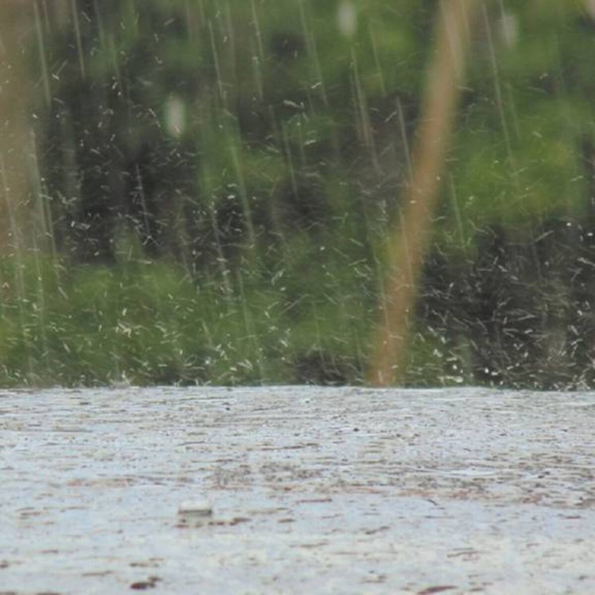 Por inundaciones, decretan calamidad pública en Campo de la Cruz, Atlántico