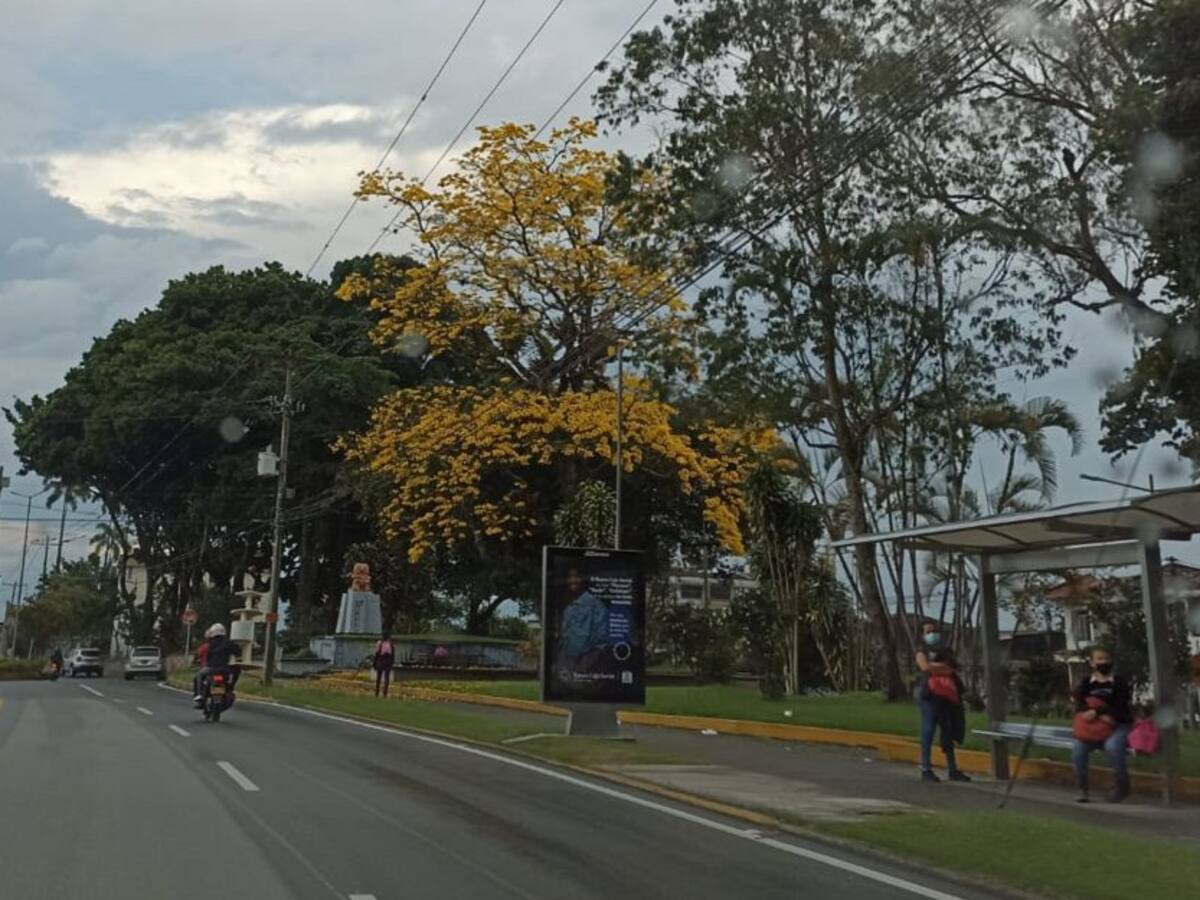 Jueves 24 de Marzo, las principales noticias de Armenia y Quindío