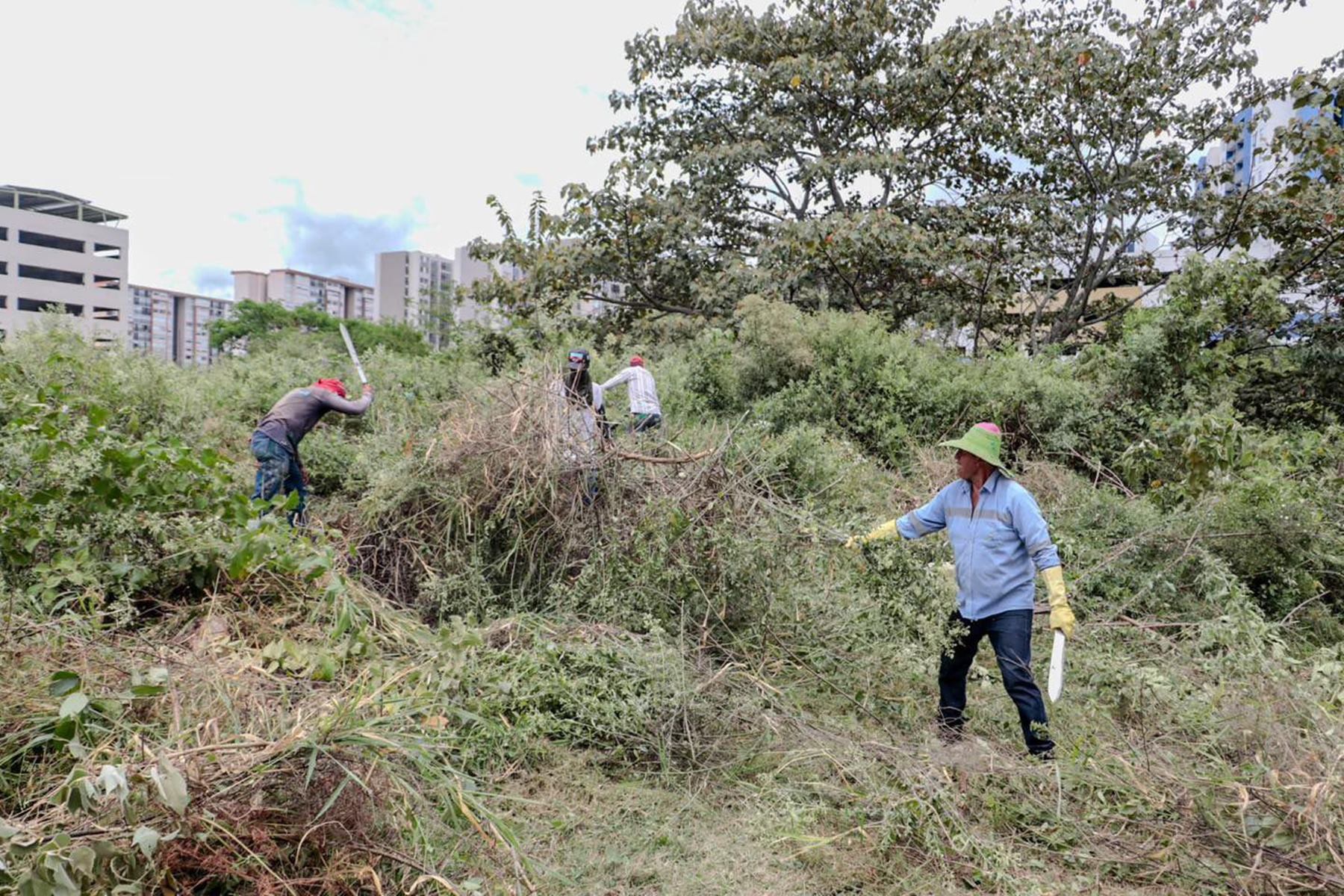 Lote centro Potencia Ibagué