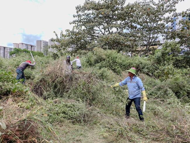 Lote centro Potencia Ibagué