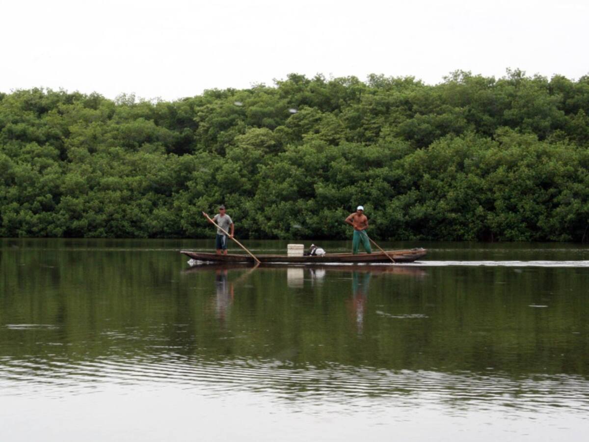 Corte Suprema reconoce al Parque Isla de Salamanca como sujeto de derechos