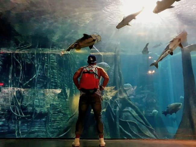 Persona en el Acuario Explora // Foto: Parque Explora