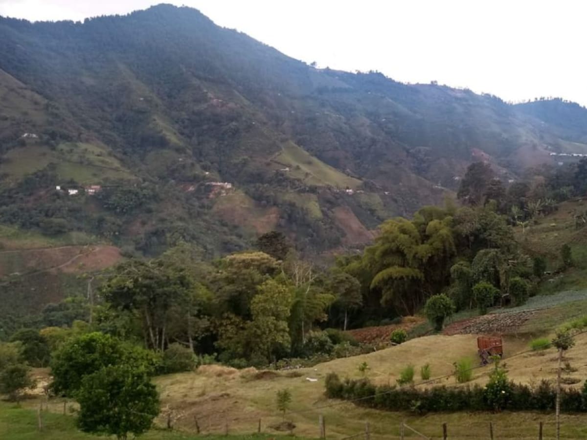 Pendientes cerca de 2.000 trámites catastrales en zona rural de Manizales