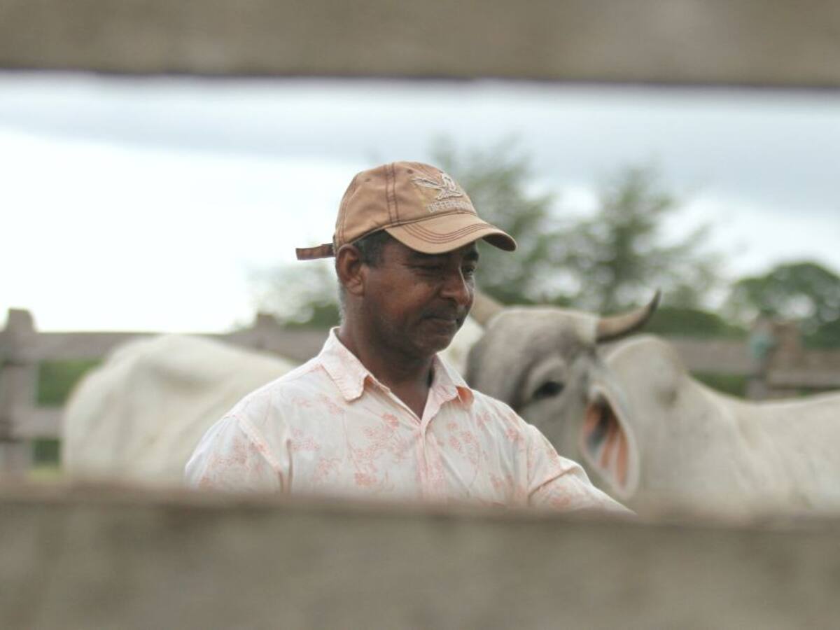 Gestores de Radio Sutatenza le apuestan a las Escuelas Digitales Campesinas