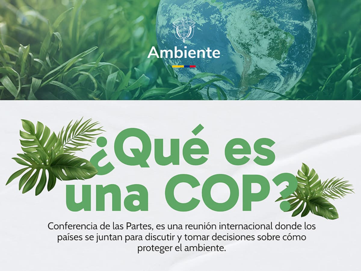 Datos para entender la COP16, el evento mundial sobre preservación de la biodiversidad