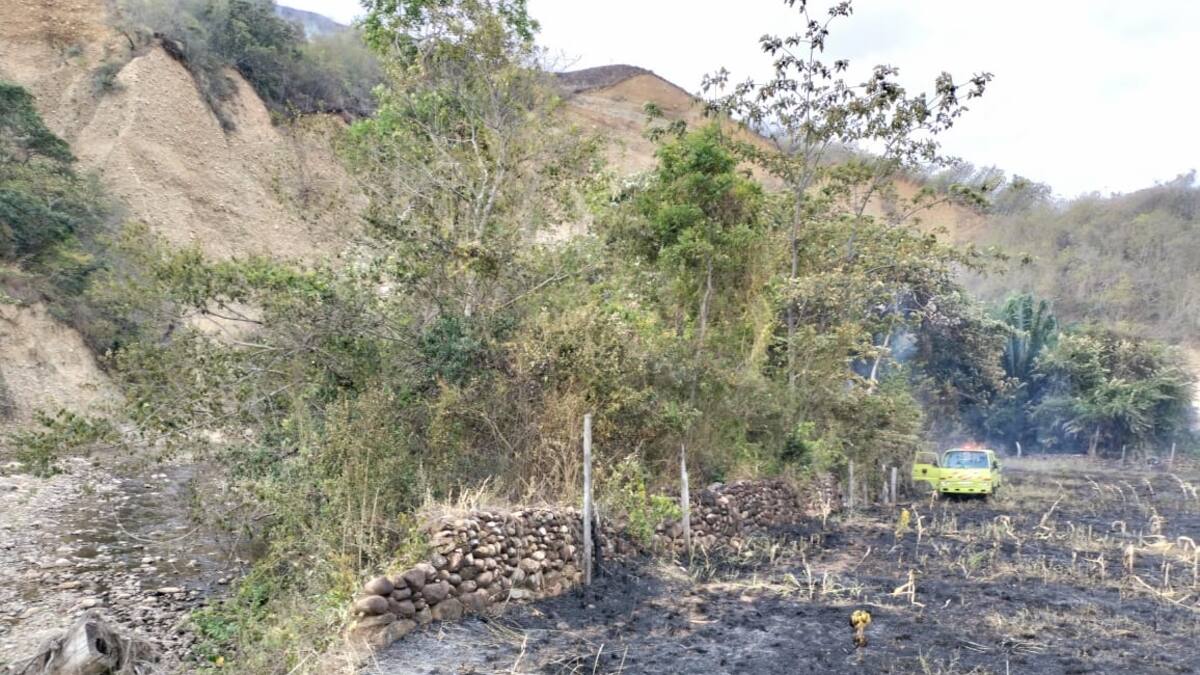 En aumento incendios y quemas forestales en terrenos rurales de Neiva