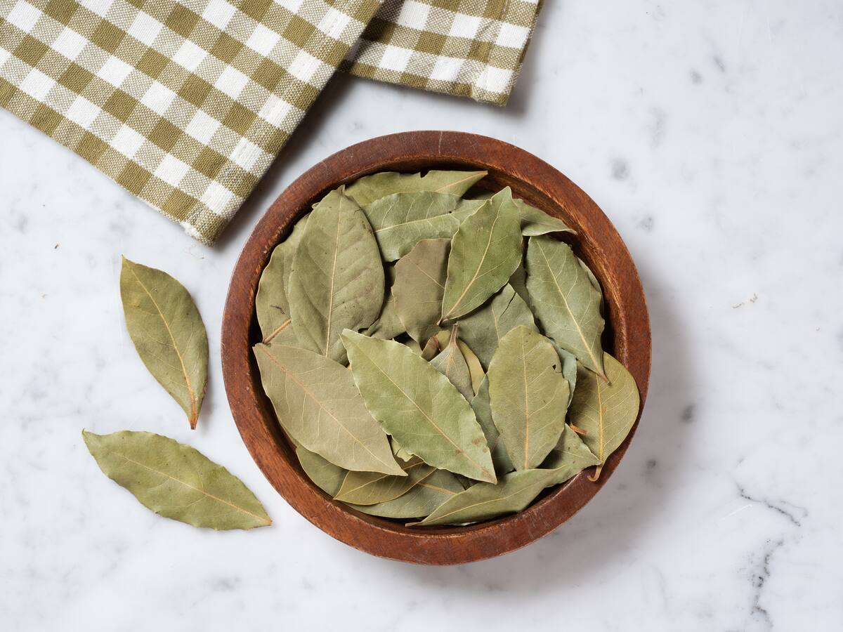 ¿Dónde colocar las hojas de laurel en casa para atraer riqueza y suerte? Esto indica el Feng Shui