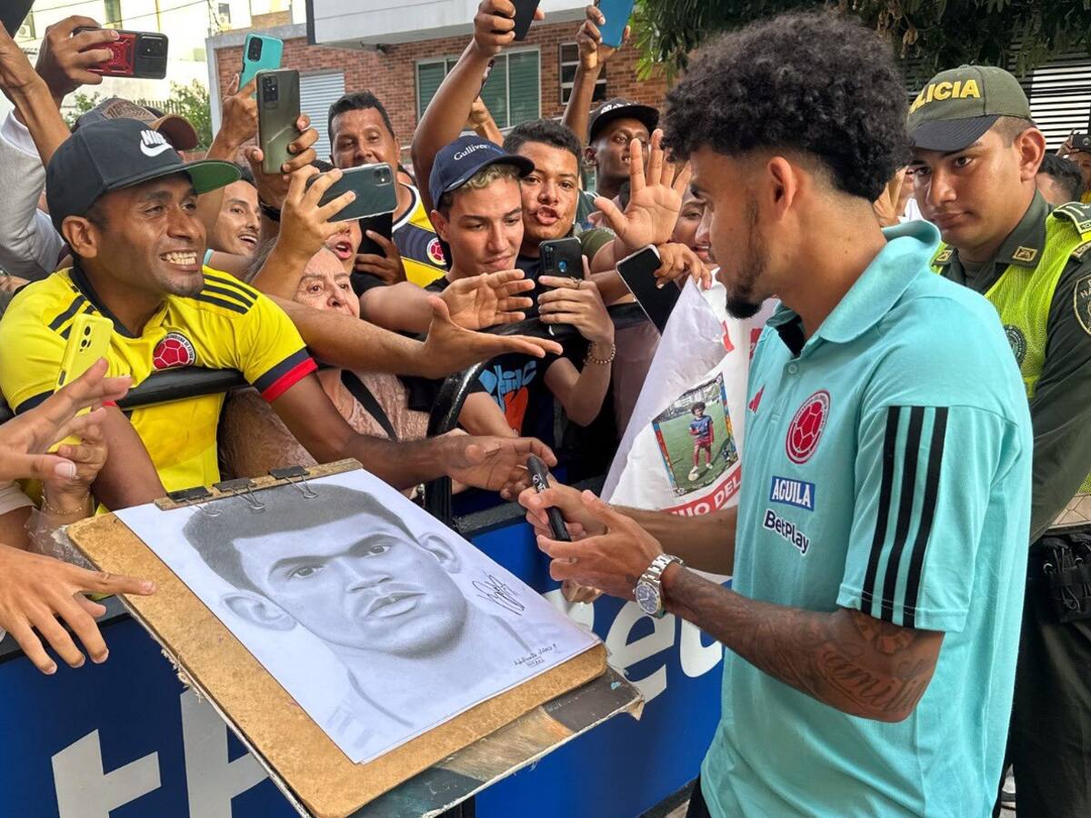 VIDEO | Espectacular banderazo de los hinchas a la Selección Colombia en el hotel