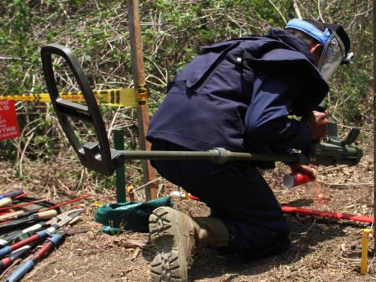 En 16 municipios del país se llevan a cabo tareas de desminado humanitario