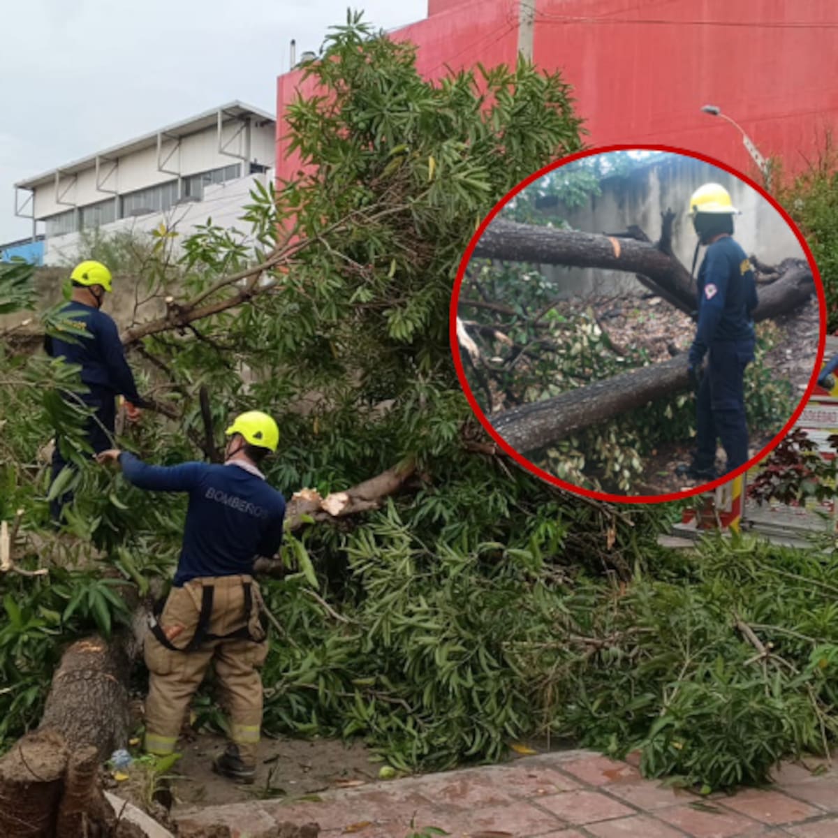 Tormenta eléctrica deja inundaciones, caída de árboles y cortes de energía en Soledad
