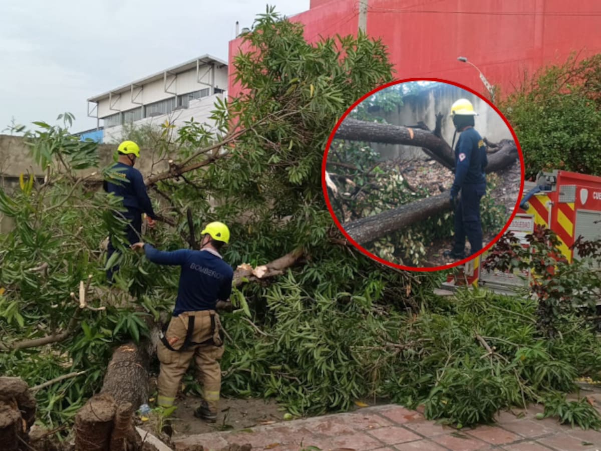 Tormenta eléctrica deja inundaciones, caída de árboles y cortes de energía en Soledad