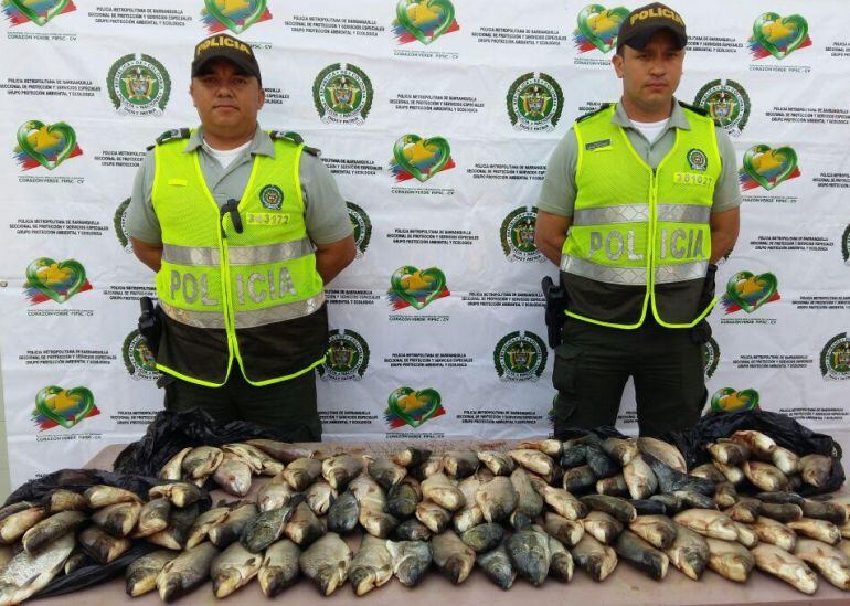 Los 100 kilos de pescado incautado fueron dejados a disposición del Departamento Administrativo del Medio Ambiente, DAMAB.