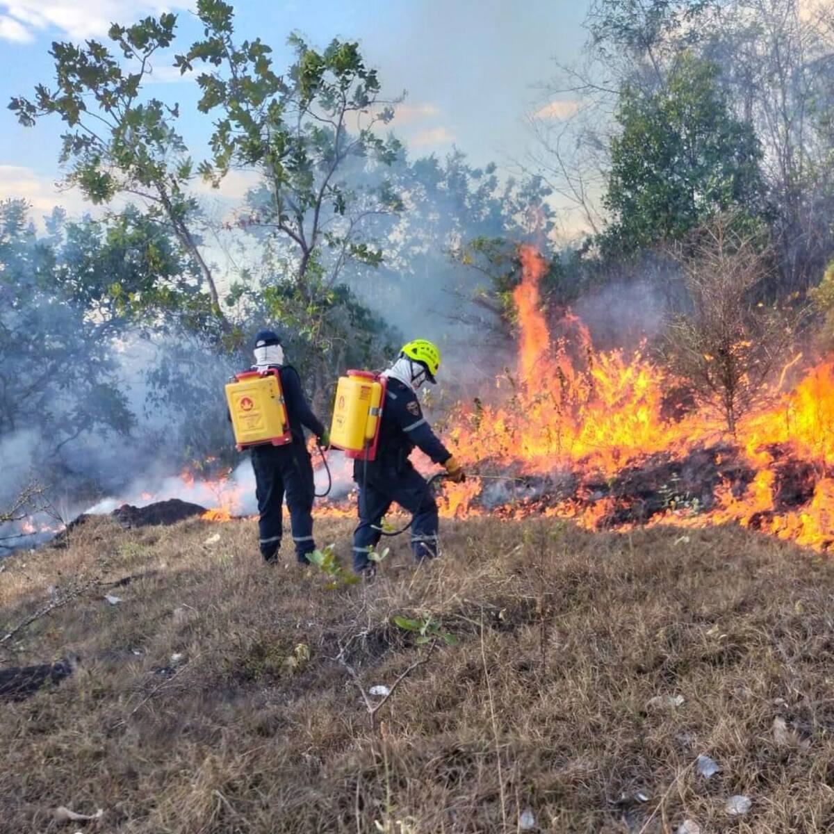 Incendio forestal consumió más de 8 hectáreas en zona rural de Neiva