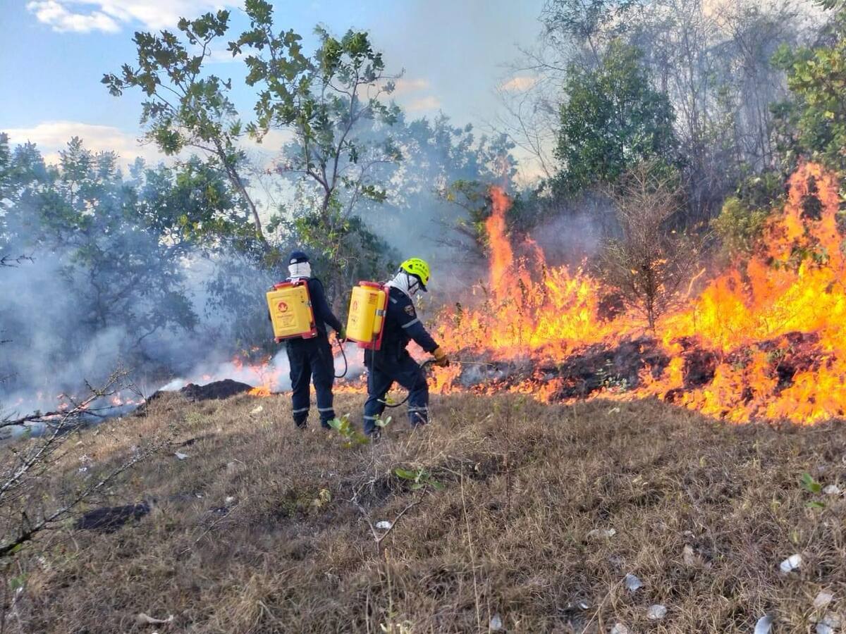 Incendio forestal consumió más de 8 hectáreas en zona rural de Neiva