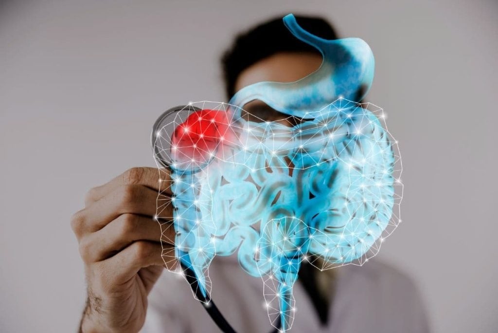 ¿Es el intestino el segundo cerebro del cuerpo?: claves para mantener sana su salud digestiva