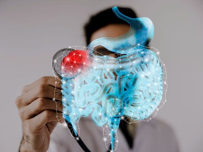 ¿Es el intestino el segundo cerebro del cuerpo?: claves para mantener sana su salud digestiva