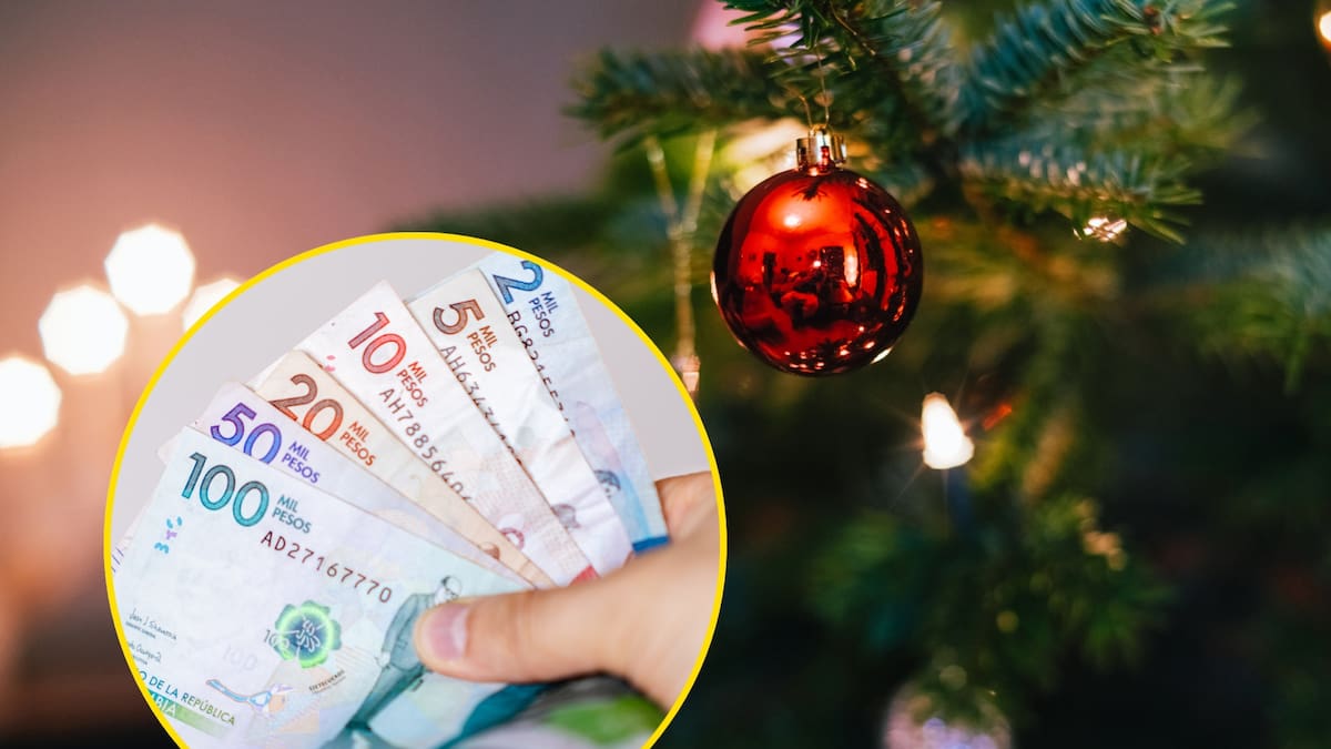 Quiénes serán los trabajadores que recibirán doble prima en diciembre: Decretos explicados