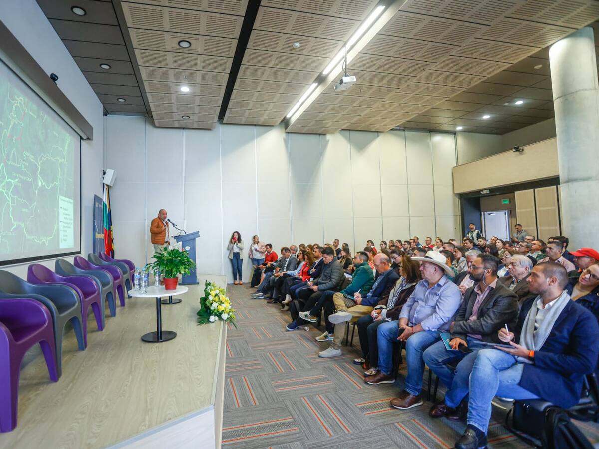 ¿Cuál será el futuro de Autopistas del Café? Analistas y expertos proponen alternativas