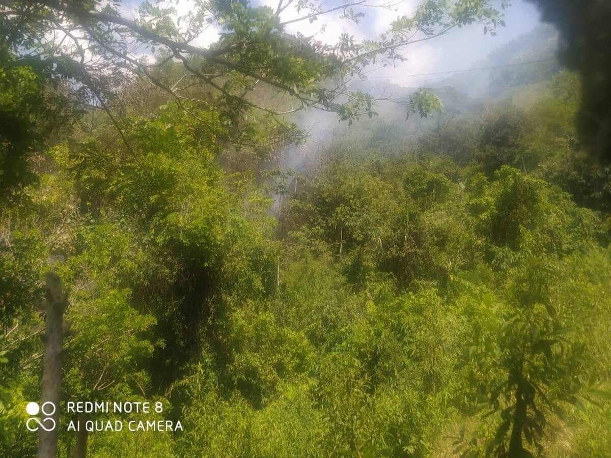 Incendio de cobertura vegetal en Marmato, Caldas, al parecer fue provocado
