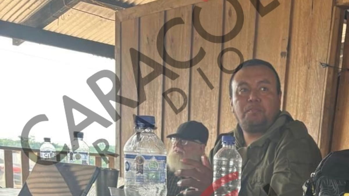 Alias Calarcá continuará en el proceso de paz, pero no asistirá a reuniones presenciales