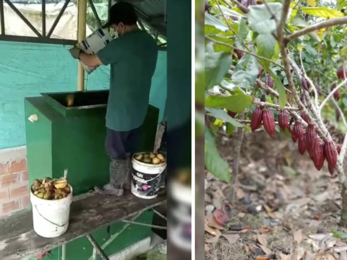 MinCiencias impulsa primera planta de producción de biofertilizantes en Santander