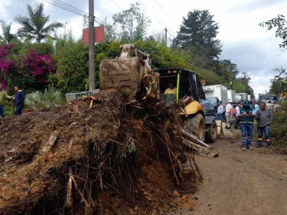 Autoridades atienden emergencias por lluvias y trabajan en rehabilitación de vías en Antioquia