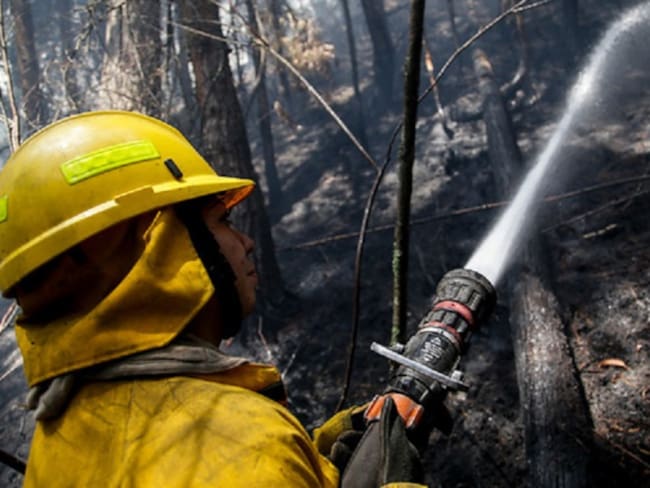El 100% de los incendios en Bogotá han sido provocados: Bomberos