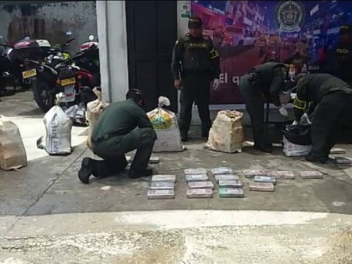 Incautan 170 kilos de coca camuflados en cargamento de cocos