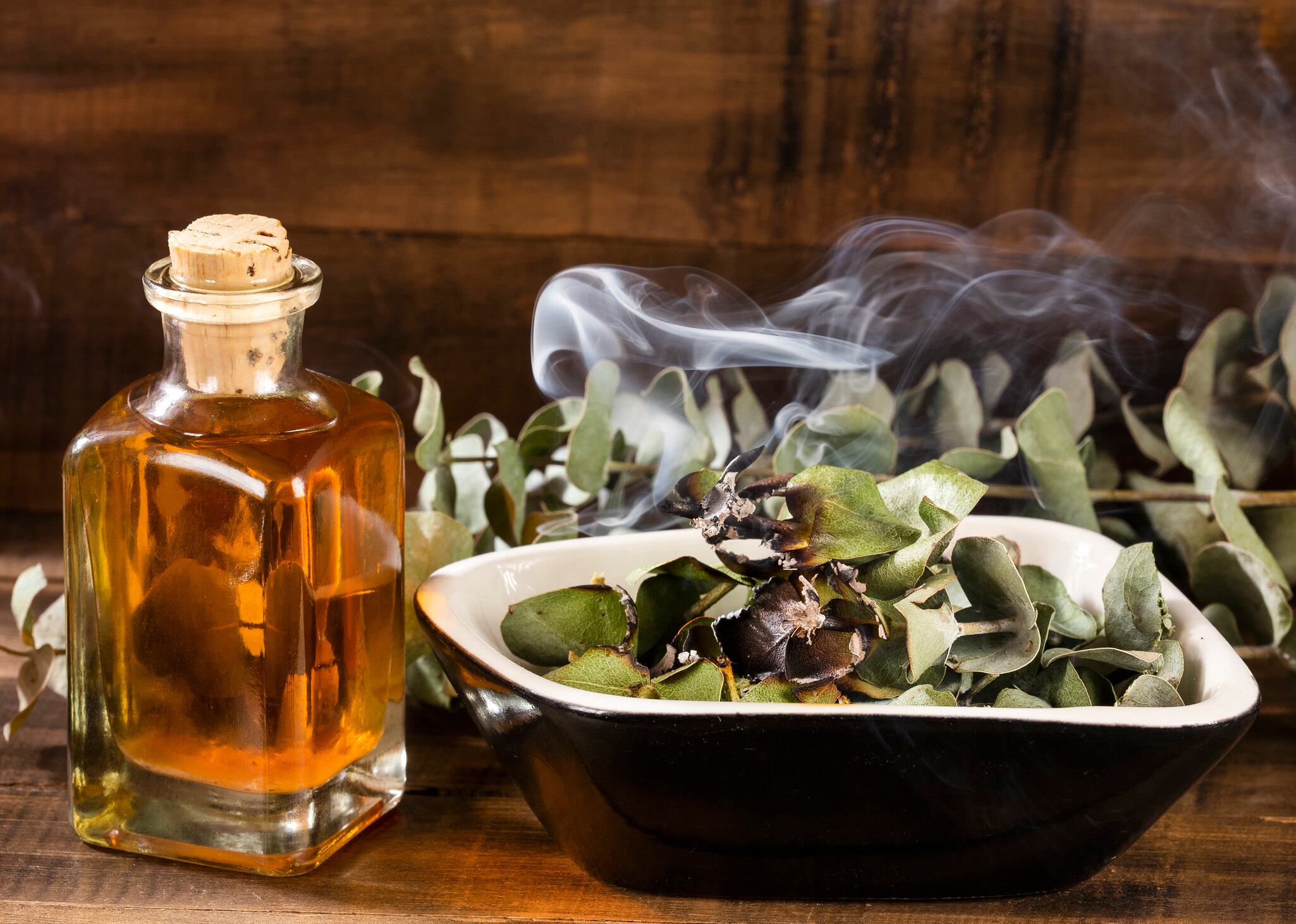 Imagen de referencia, eucalipto y rituales // Getty Images