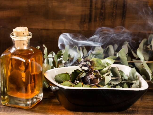 Imagen de referencia, eucalipto y rituales // Getty Images