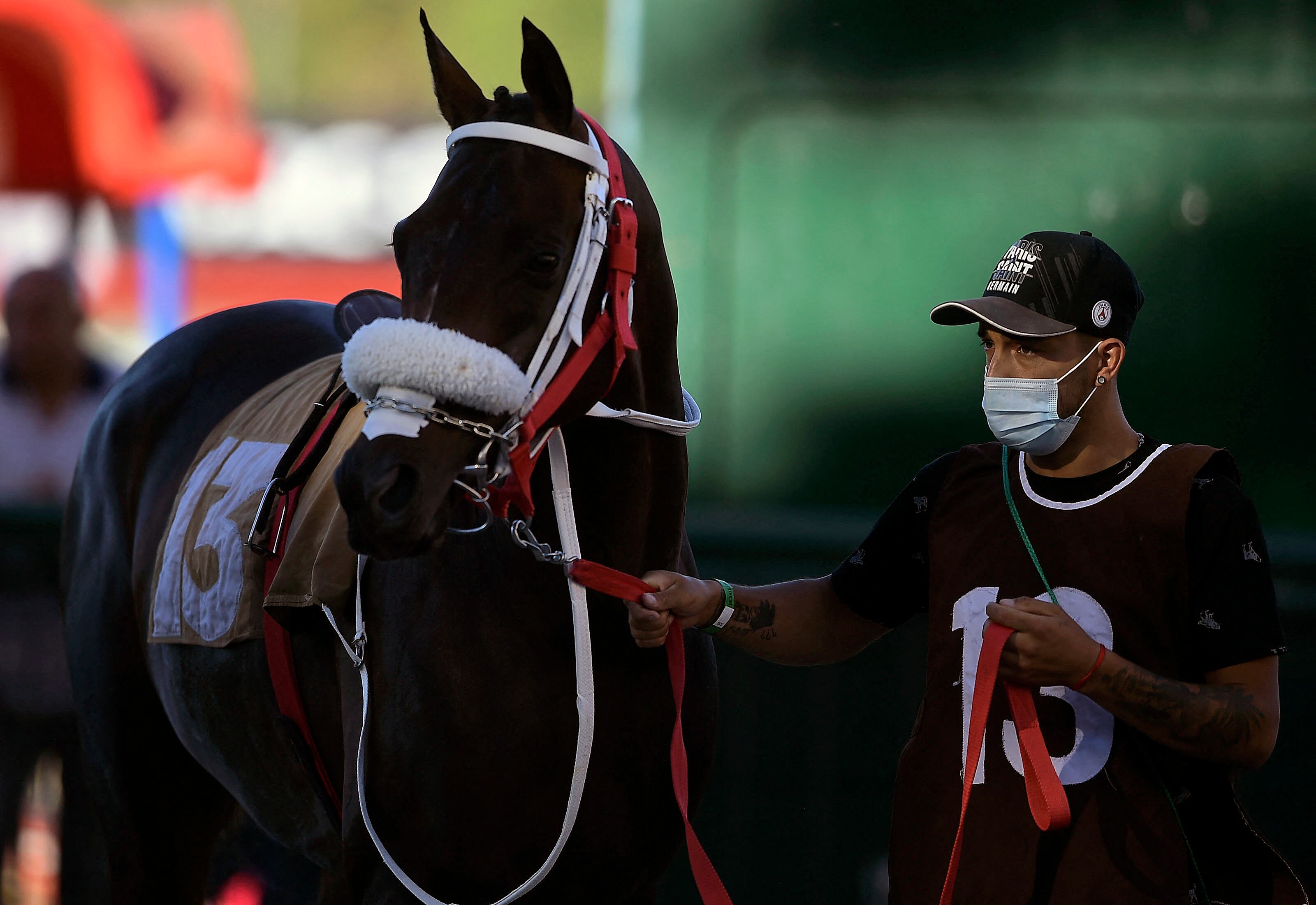 Transporte de caballos en Uruguay. 
(Foto:     DANTE FERNANDEZ/AFP via Getty Images)