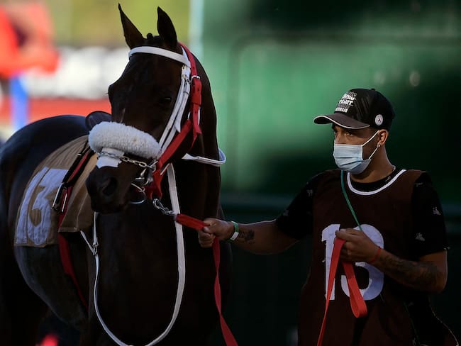 Transporte de caballos en Uruguay. 
(Foto:     DANTE FERNANDEZ/AFP via Getty Images)