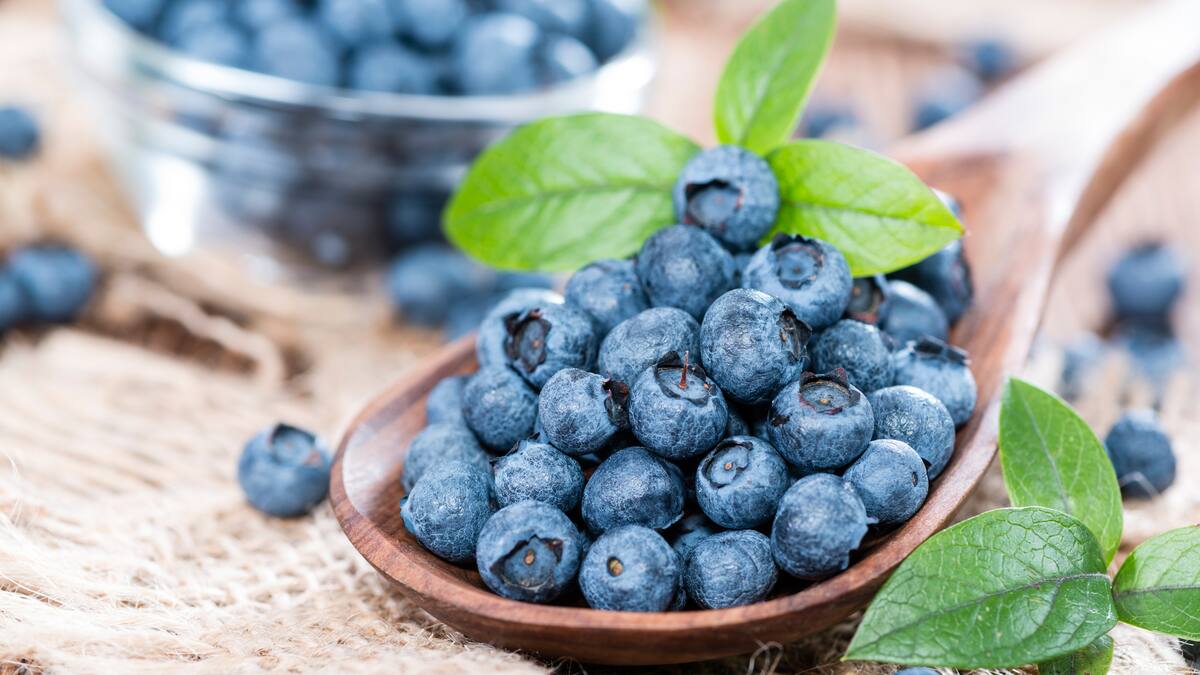 ¿Por qué los arándanos son azules? Esto dicen los expertos
