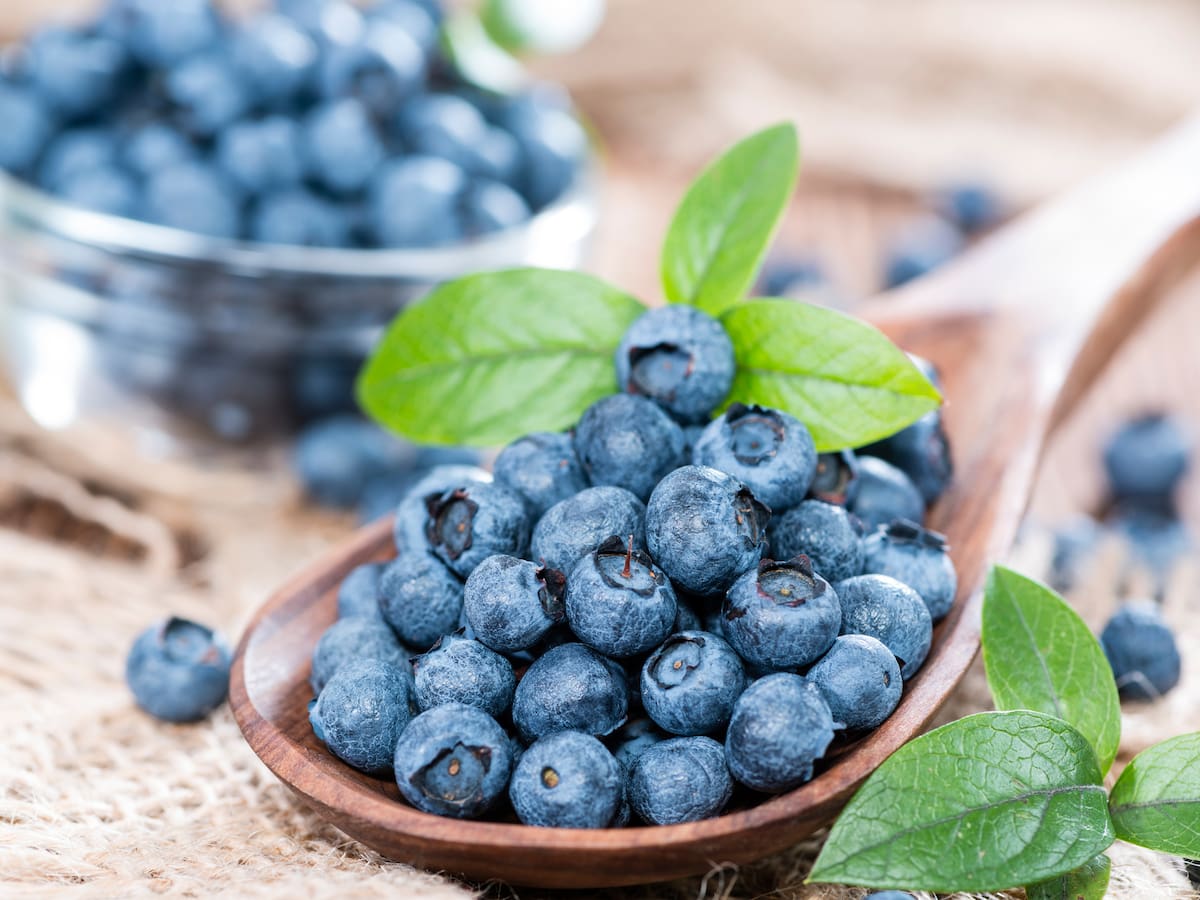 ¿Por qué los arándanos son azules? Esto dicen los expertos