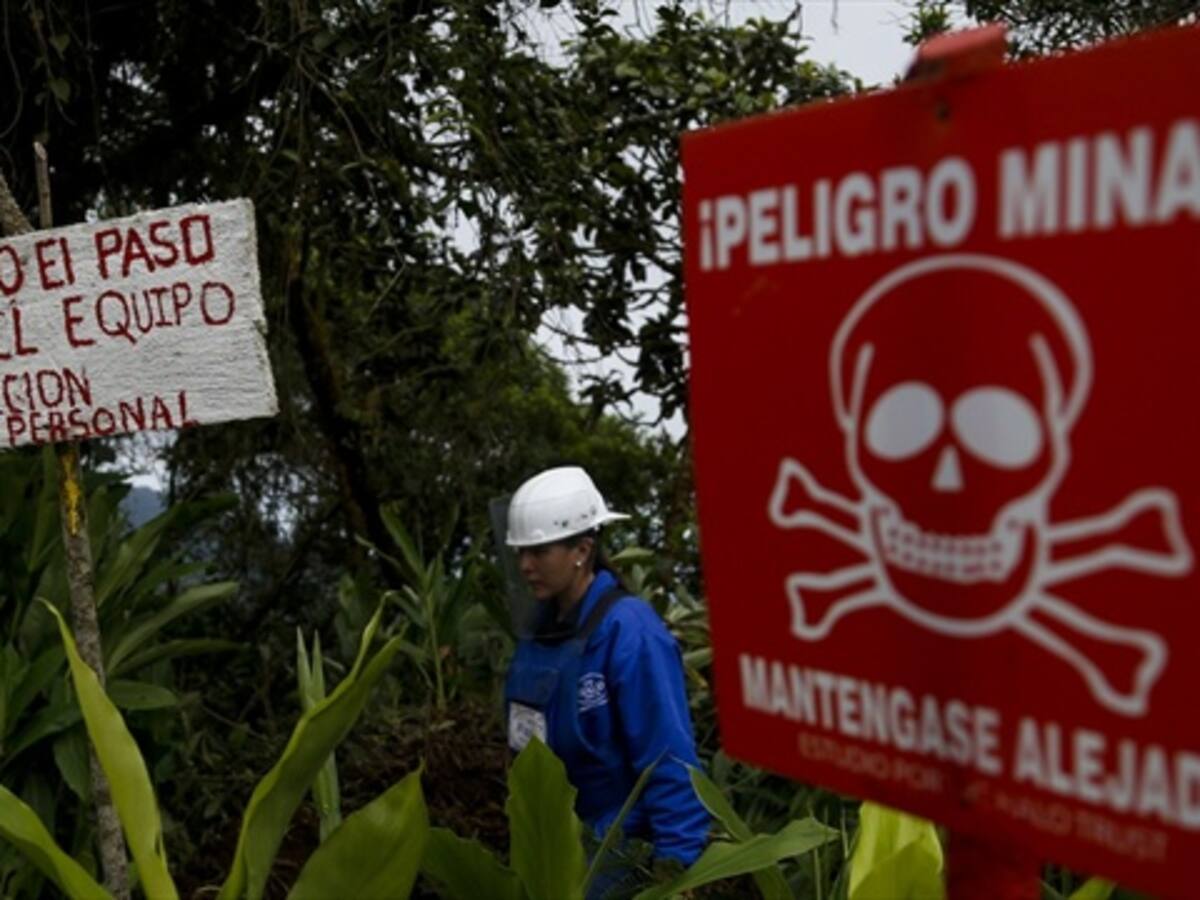 ​Ejército destruye campo minado de las Farc en Briceño, Antioquia